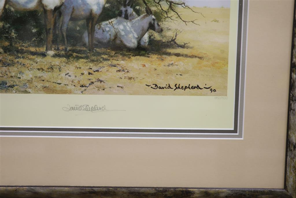 David Shepherd, limited edition print, Arabian Oryx, signed, 51 x 78cm